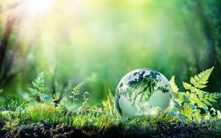 ATLAS publie sa première Communication sur le Progrès !