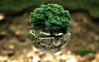 arbre sur une demi sphère de terre